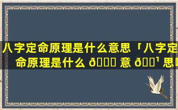 八字定命原理是什么意思「八字定命原理是什么 🐈 意 🌹 思啊」